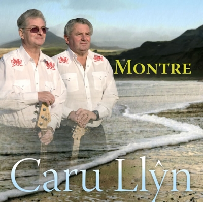 Cover: Caru Llyn