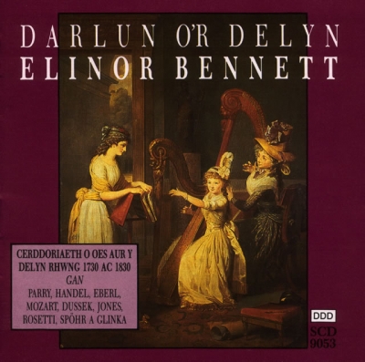 Cover: Darlun O'r Delyn