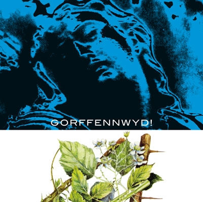 Cover: Gorffennwyd