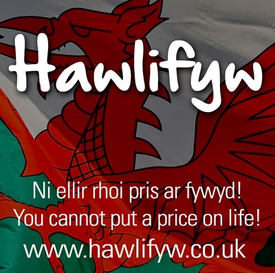 Cover: Hawl I Fyw / Right To Live