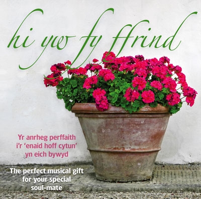 Cover: Hi Yw Fy Ffrind