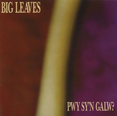Cover: Pwy Sy'n Galw?