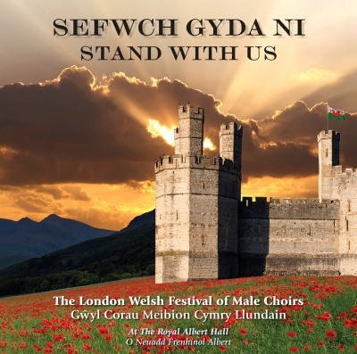 Cover: Stand With Us (Sefwch Gyda Ni)