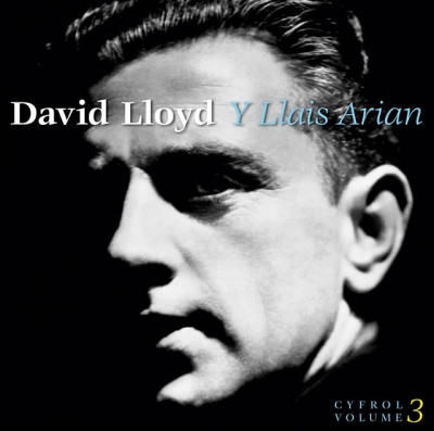 Cover: Y Llais Arian (Cyfrol 3 / Volume 3)