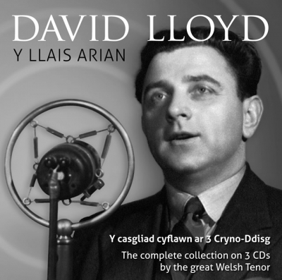 Cover: Y Llais Arian
