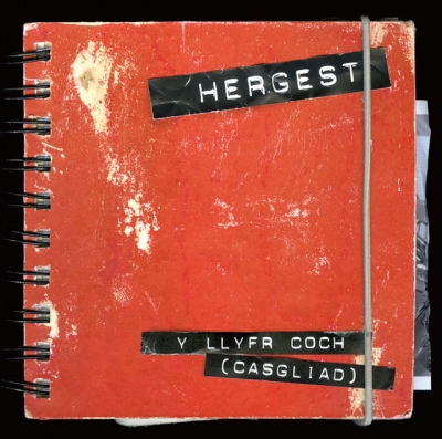 Cover: Y Lyfr Coch (Casgliad)