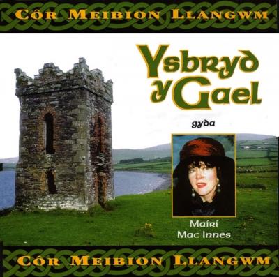 Cover: Ysbryd Y Gael